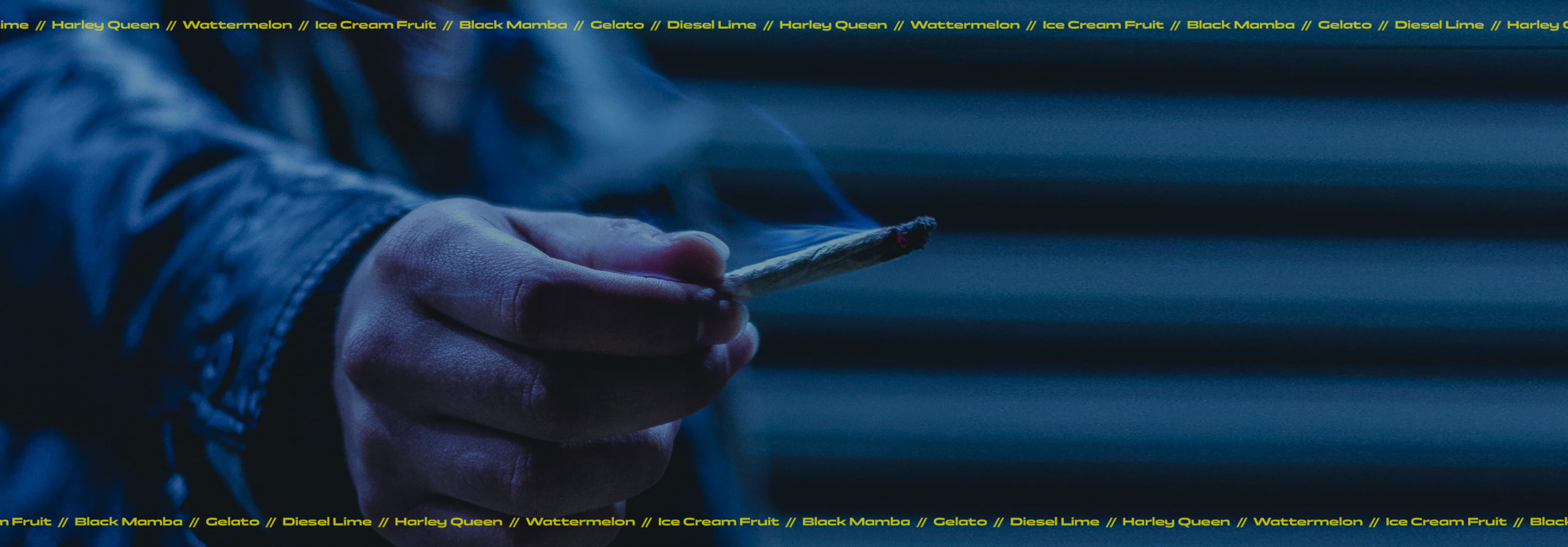 fondo-banner-dto-cogollos