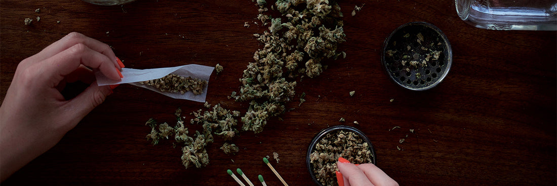 top ventas cbd|diesel lime cbd|Black Mamba CBD|Ice Cream Fruit CBD