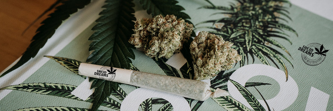 comprar cbd en nuestras tiendas de cbd