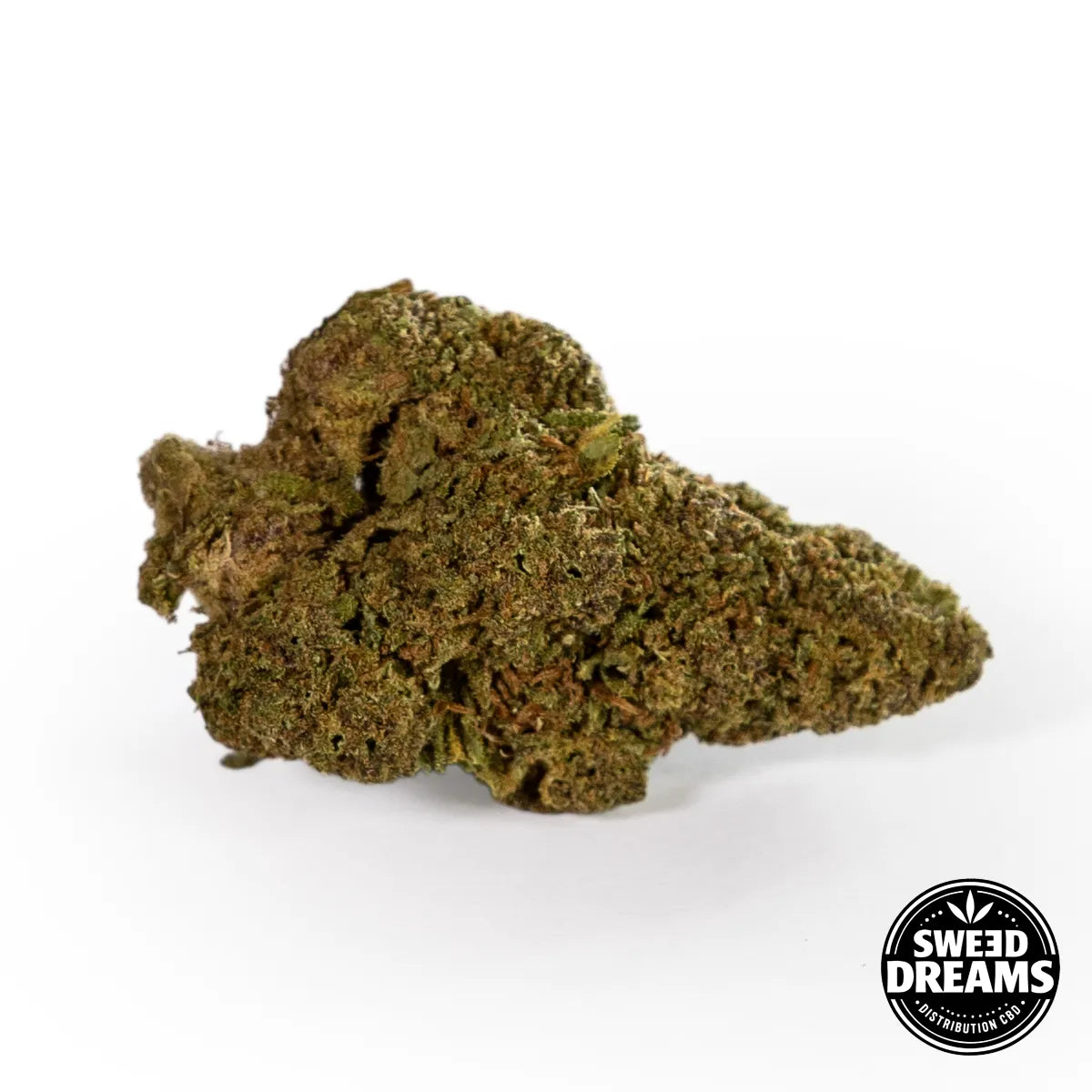 BRUCE BANNER - HIDROPÓNICA