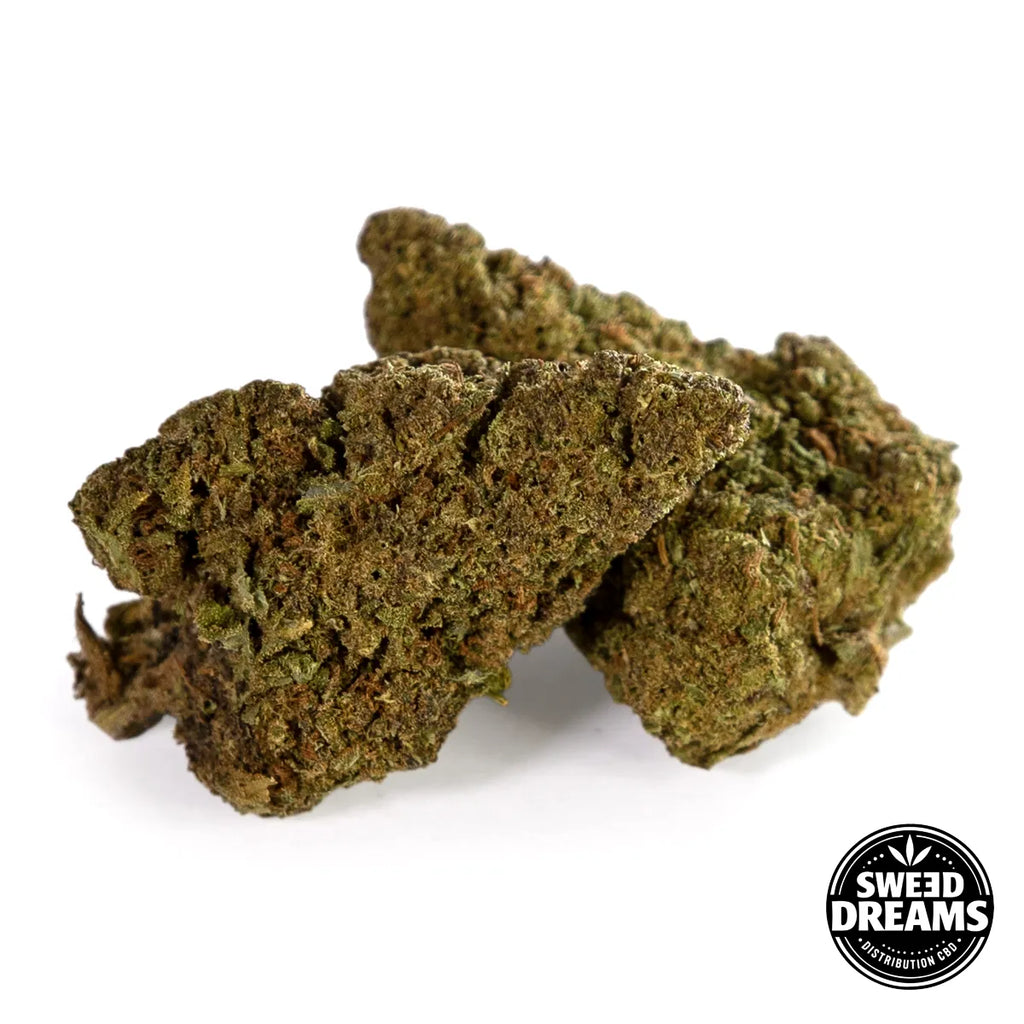 BRUCE BANNER - HIDROPÓNICA