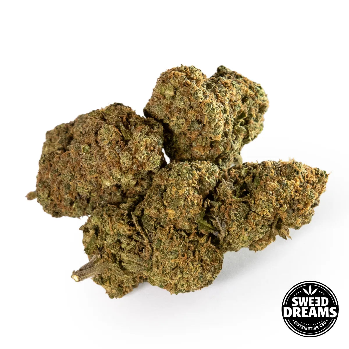 BUBBALOO - INDOOR