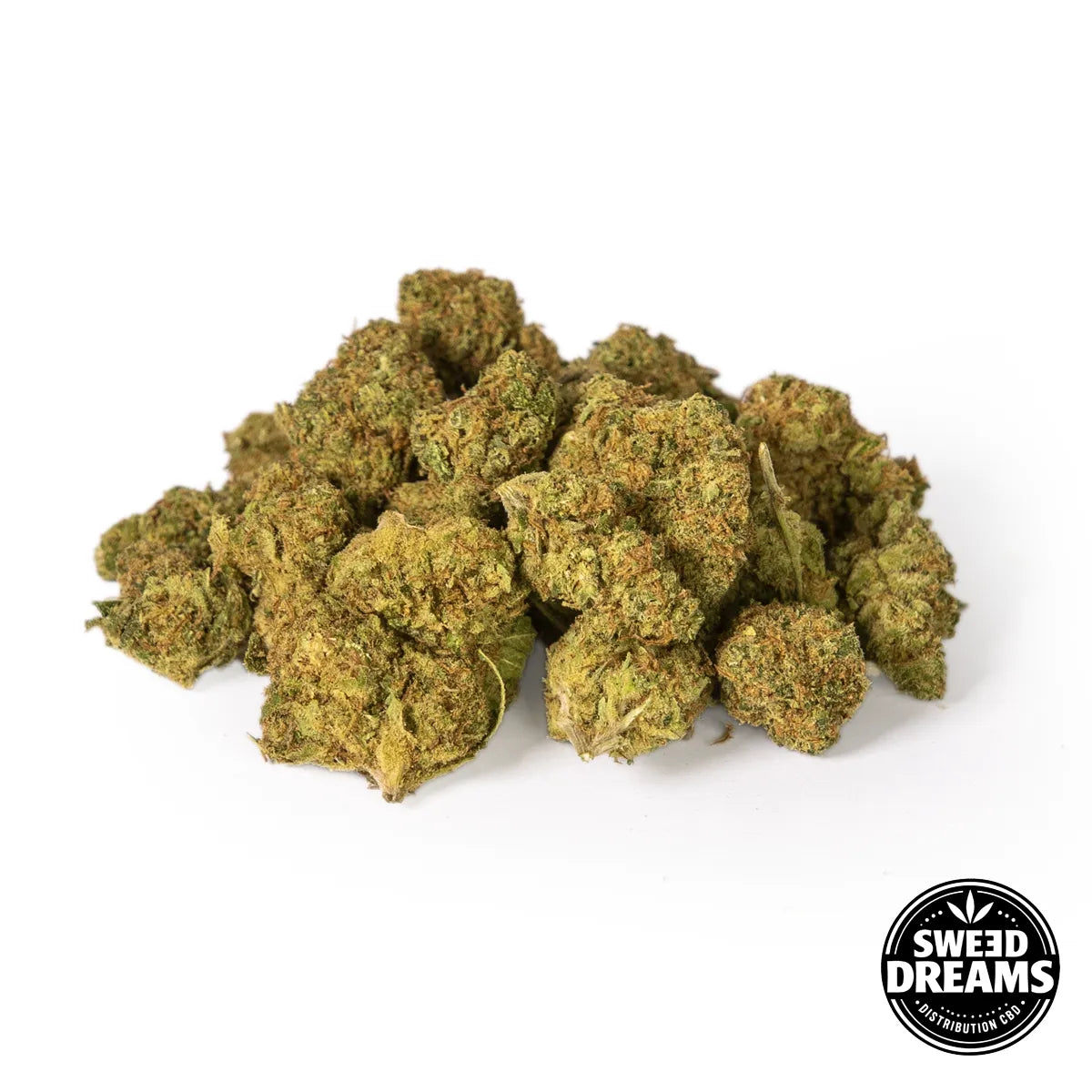 GELATO - INDOOR - SMALL BUDS