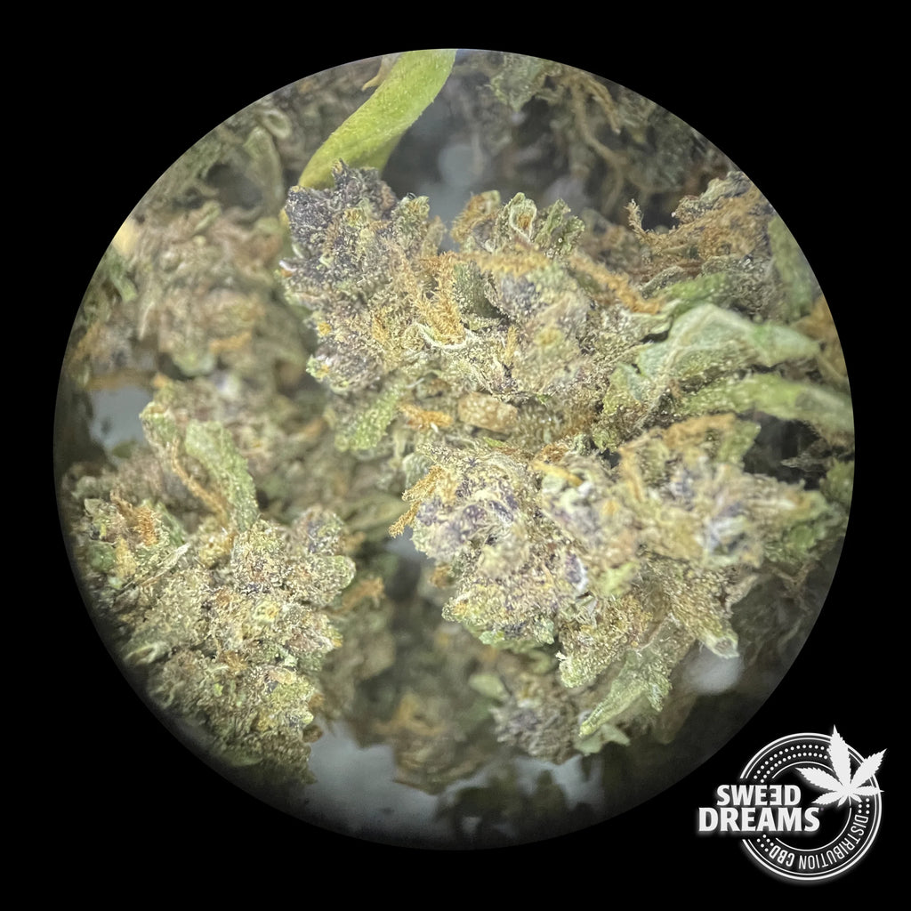 PURPLE - GREENHOUSE - SMALL BUDS