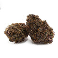 INDOOR - KING LOUISE - CBZ