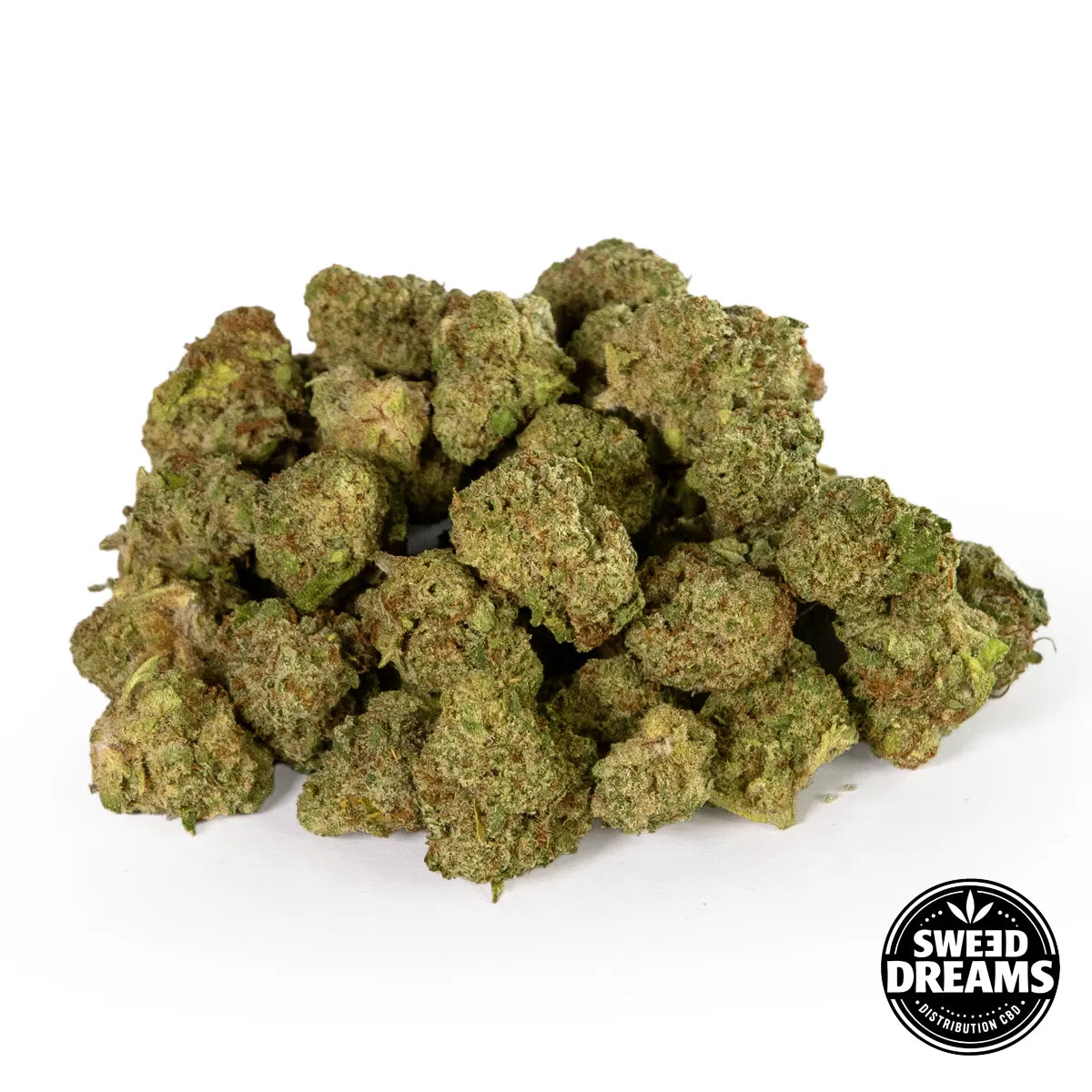 ROYAL CHEESE -  INDOOR