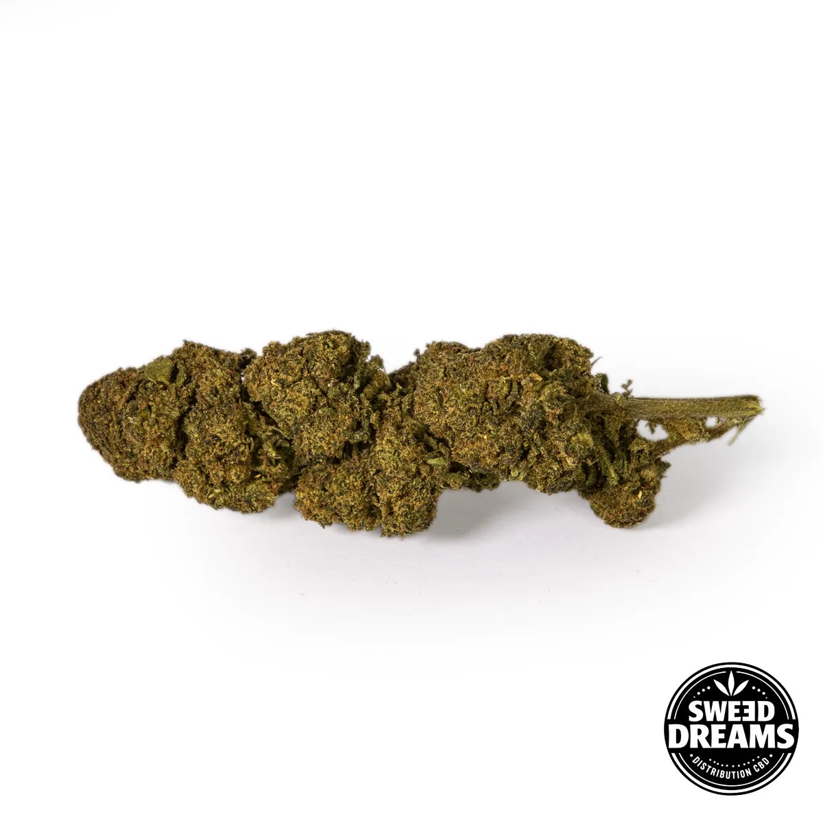 TANGIE - GREENHOUSE