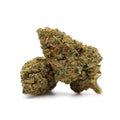 INDOOR - MASTER KUSH - CBZ