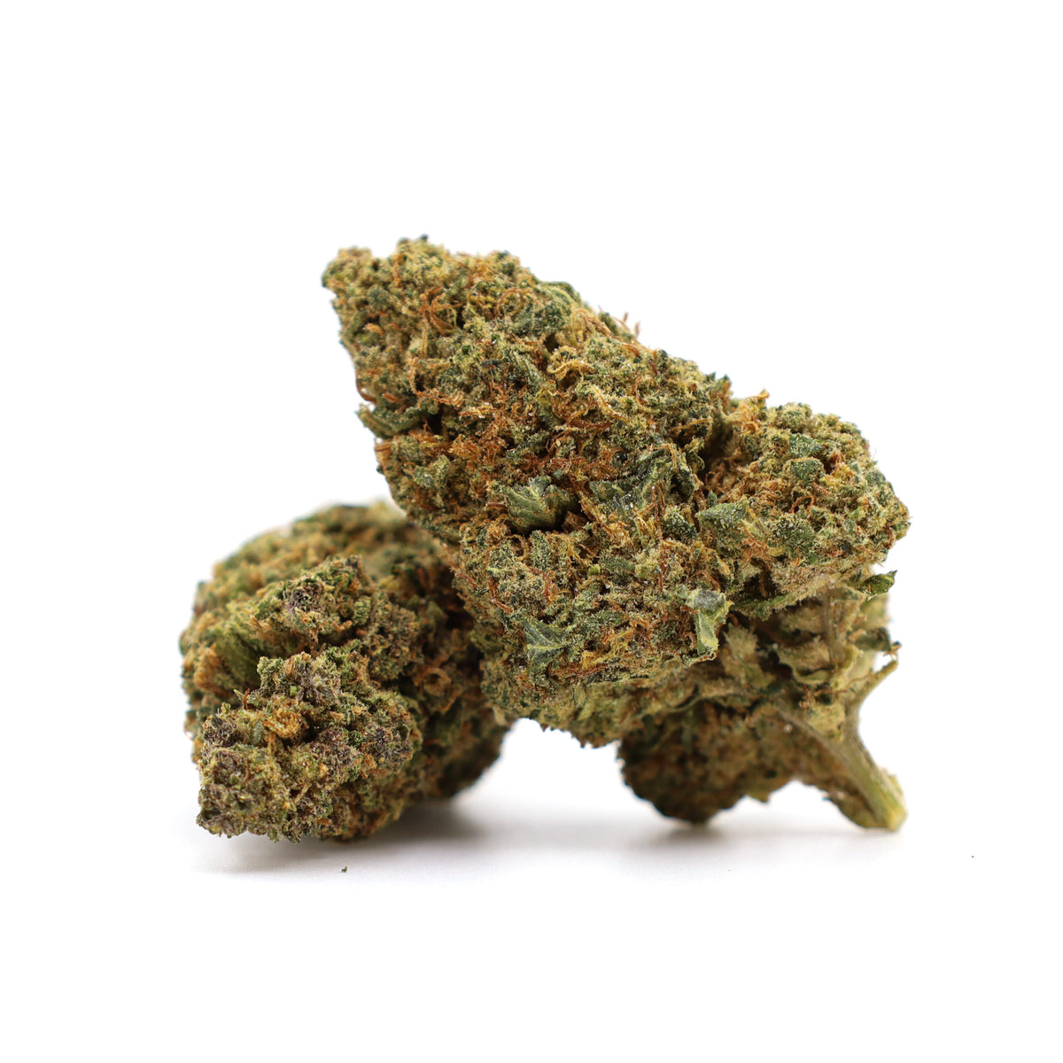 INDOOR - MASTER KUSH - CBZ
