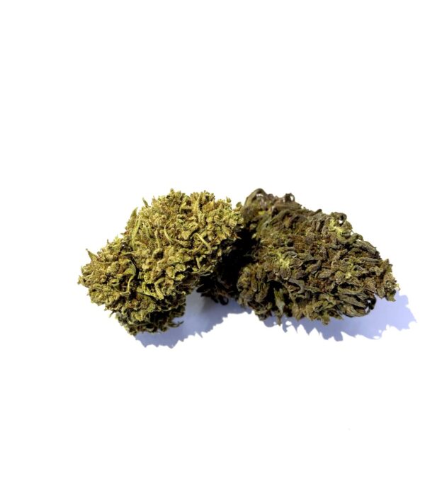 Watermelon Zkittlez - Greenhouse 5%-10%CBD (2025/26) - Imagen 2