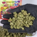 Watermelon Zkittlez - Greenhouse 5%-10%CBD (2025/26) - Imagen 2