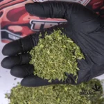 Trim CBD 65gr (2025/26) - Imagen 2