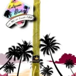 Combo 2 Blunts CBD - Imagen 3