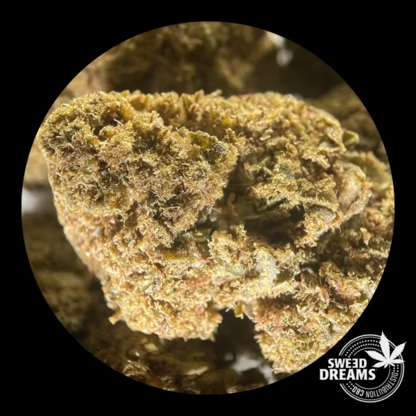 Sweed Cheese Green House CBD 2gr - OFERTA 3x2 !! - Imagen 4