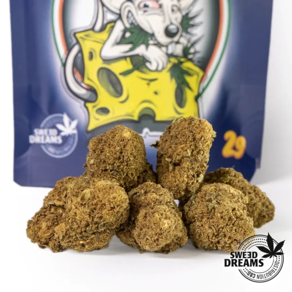 Sweed Cheese Green House CBD 2gr - OFERTA 3x2 !! - Imagen 3