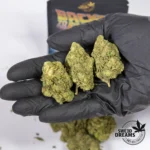 Delorean Haze 2gr - Glass House 5%-10%CBD (2025/26) - Imagen 2