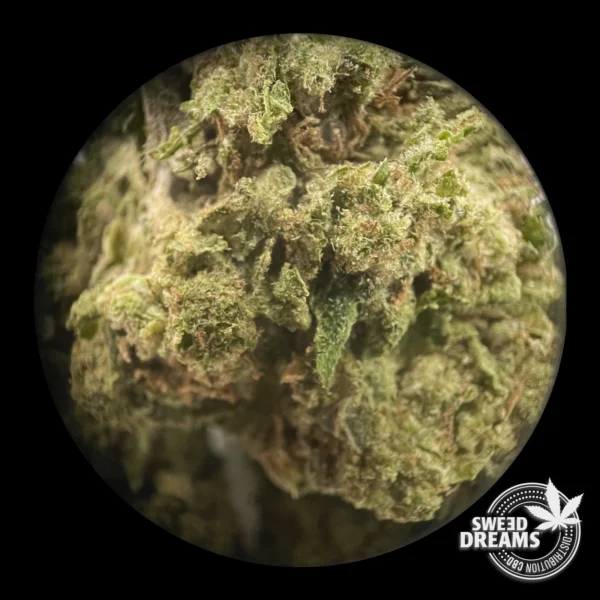 Delorean Haze 2gr - Glass House 5%-10%CBD (2025/26) - Imagen 3