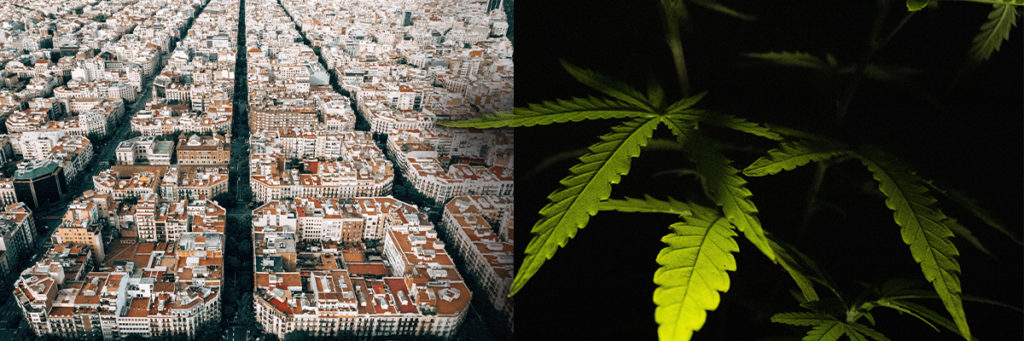cbd barcelona