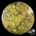 Diesel 2gr - Greenhouse 12%CBD (2025/26) - Imagen 3