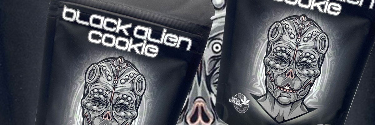 Black Alien Cookie CBD