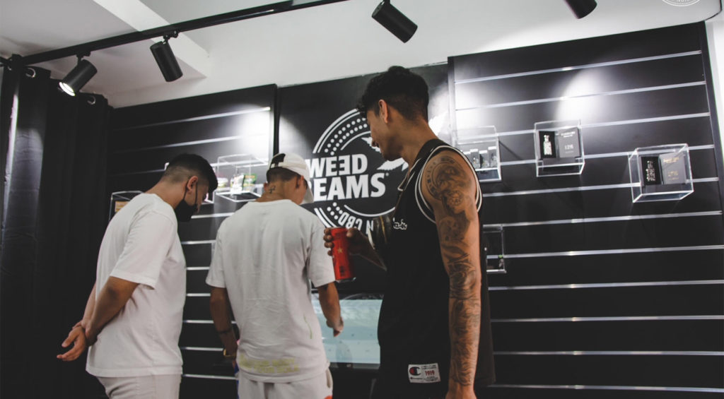 Franquicia Sweed Dreams