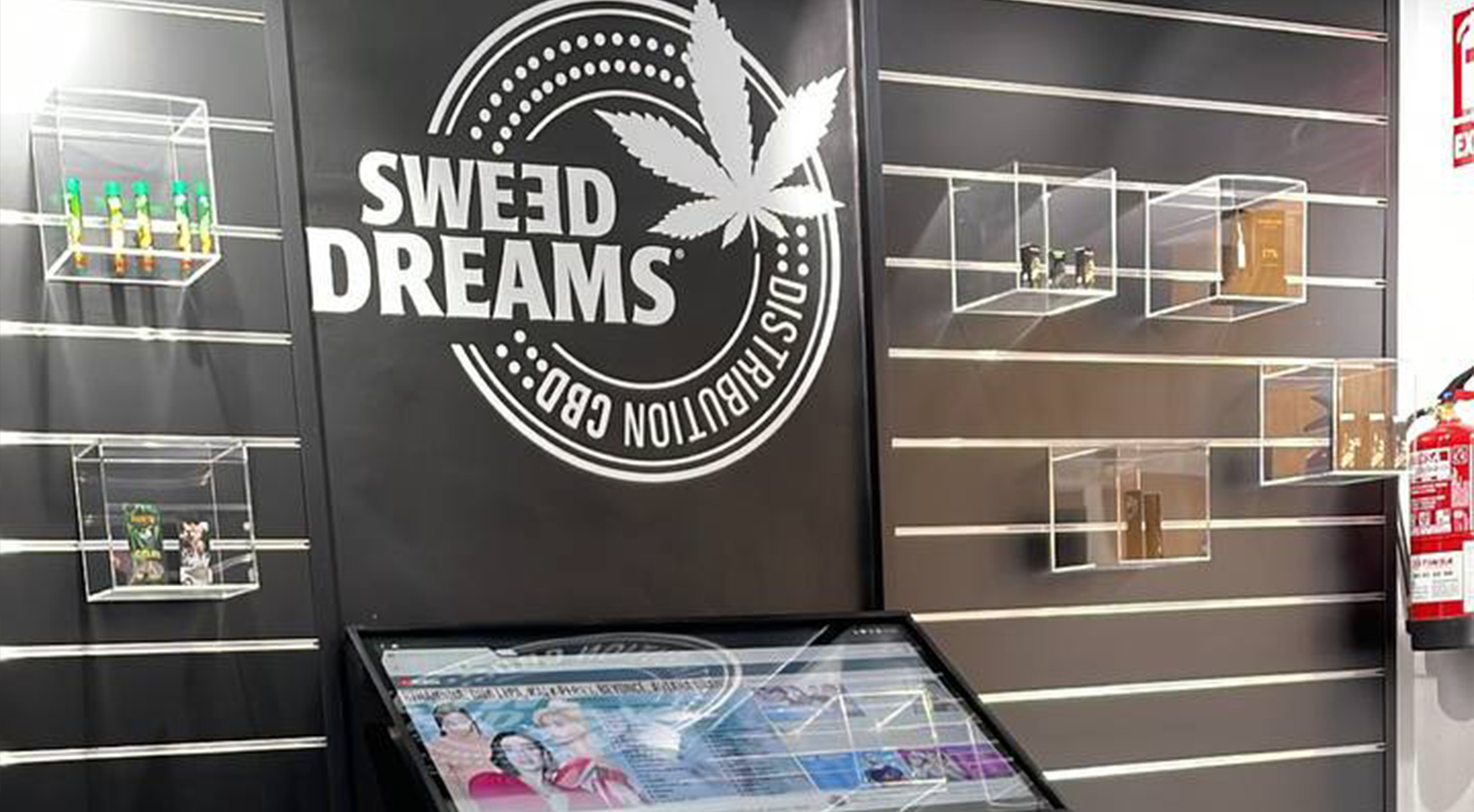 Comprar En la Calle Nunca Ganas - Solo Pierdes o Empatas en Sweed Dreams CBD