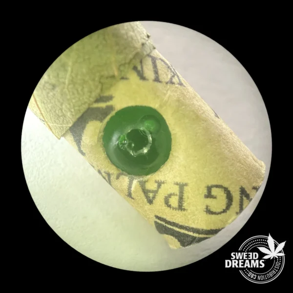 Blunt Magic Mint x 2 - Imagen 2