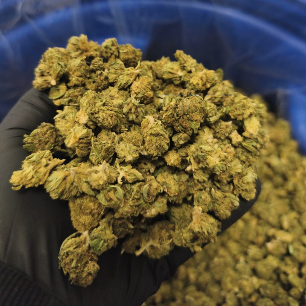 1000029107 Comprar CBD Online