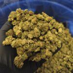 Sweed Mix 50 (2025/26) - Imagen 2