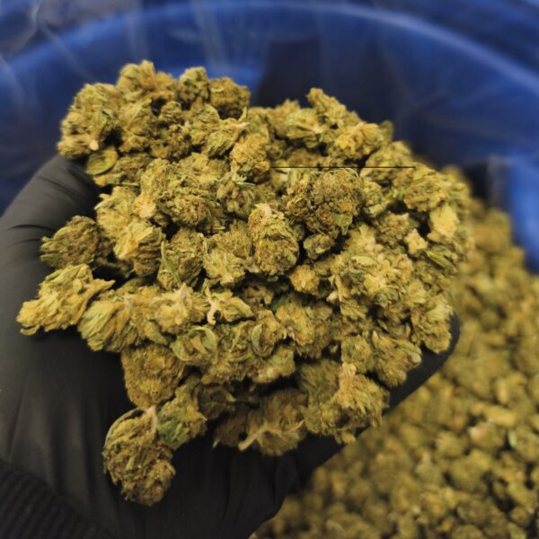 Sweed Mix 50 (2025/26) - Imagen 2