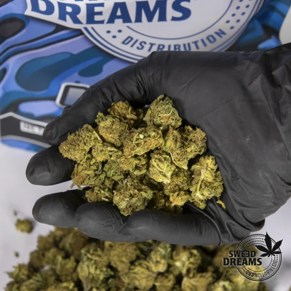 Sweed Mix CBD (2025/26) - Imagen 2