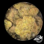 Sweed Mix CBD (2025/26) - Imagen 3