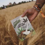 DESCATALOGADO - Cereales Sweed - Imagen 2