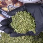 Golden Trim CBD 65gr (2025/26) - Imagen 2