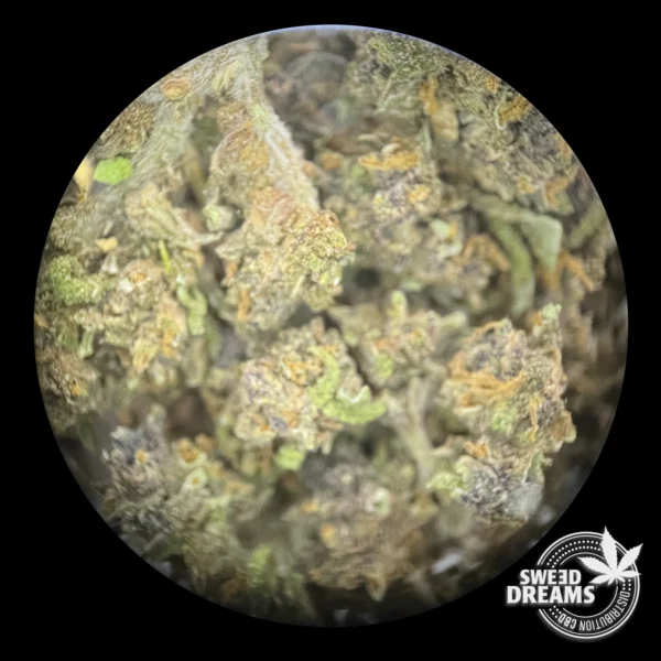 Golden Trim CBD 65gr (2025/26) - Imagen 3