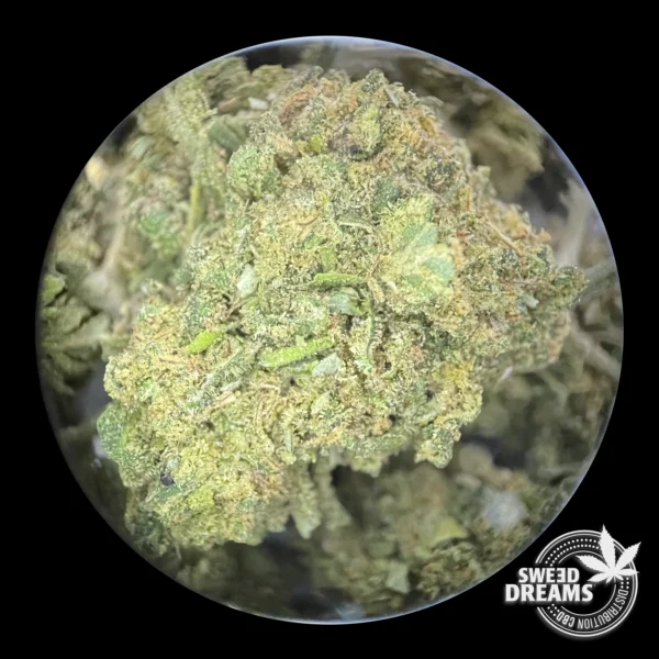 Super DreamSkunk 1gr - Greenhouse 5%-10%CBD (2025/26) - Imagen 2