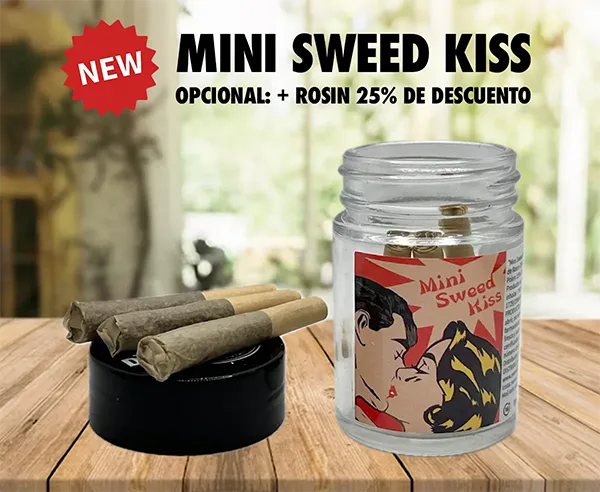 Comprar En la Calle Nunca Ganas - Solo Pierdes o Empatas en Sweed Dreams CBD