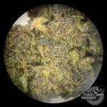 Bushberry 2g - Green House 8,5%CBD - OFERTA 3x2!! - Imagen 3