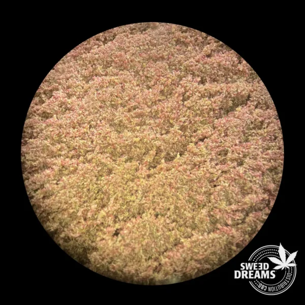 Purple - Dry Press Hash 28,9%CBD (2025/26) - Imagen 4