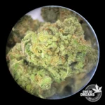 Amnesia Haze 2,5g - Hidropónica 13%CBD (2025/26) - Imagen 2