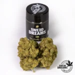 Amnesia Haze 2,5g - Hidropónica 13%CBD (2025/26)