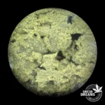Extra Filtered - Hash 25%CBD (2025/26) - Imagen 4