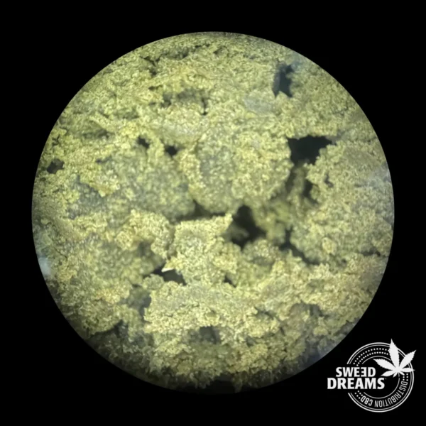 Extra Filtered - Hash 25%CBD (2025/26) - Imagen 4
