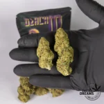 Amnesia Haze 2gr - Glass House 12%-15%CBD (2025/26) - Imagen 2