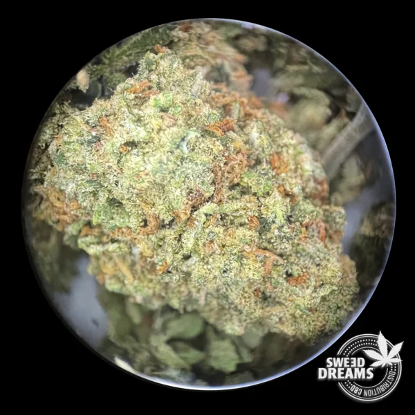 Amnesia Haze 2gr - Glass House 12%-15%CBD (2025/26) - Imagen 3