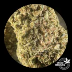 Mandarin OG 2gr - Indoor - OFERTA 3x2!! - Imagen 4