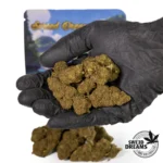 Mandarin OG 2gr - Indoor - OFERTA 3x2!! - Imagen 2