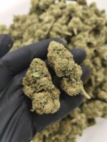 Amnesia Haze 2gr - Glass House 12%-15%CBD (2025/26) - Imagen 2