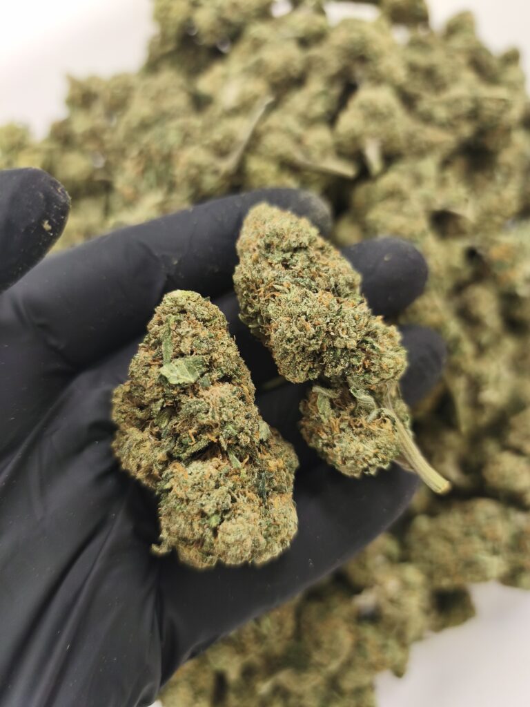 Marihuana CBD Amnesia Haze Glass House detalle1 Comprar CBD Online