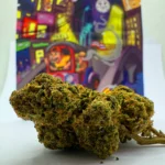 Yutzu 2gr - Indoor - OFERTA 3x2!! - Imagen 2